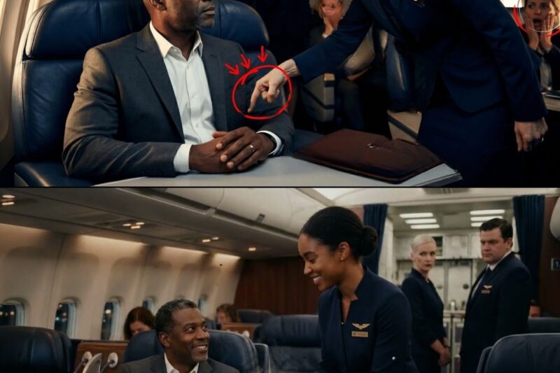 Flight Attendant Dumped Ice Water on Black CEO — Didn’t Know He Owned the Entire Airline