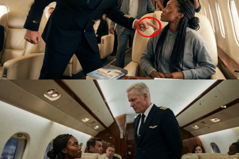White Pilot Slaps Black Woman in First Class — Has No Idea She’s the Billionaire Who Owns the Plane