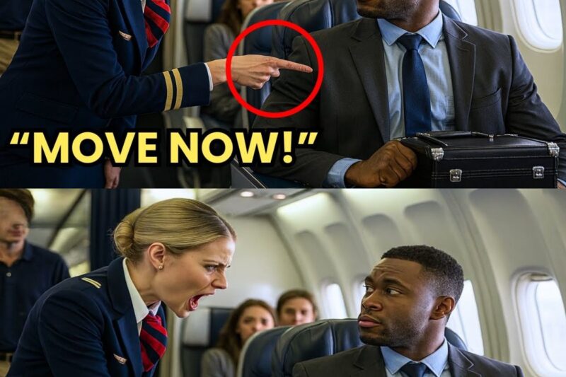 Black CEO Kicked Out of VIP Seat for White Passenger —Froze When He Fired Them All Instantly