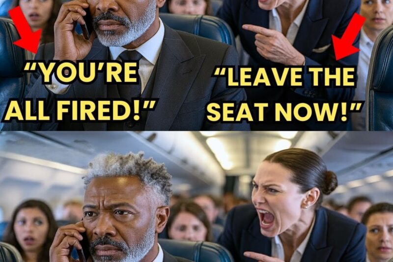 Black CEO Kicked Out of VIP Seat for White Passenger —Froze When He Fired Them All Instantly
