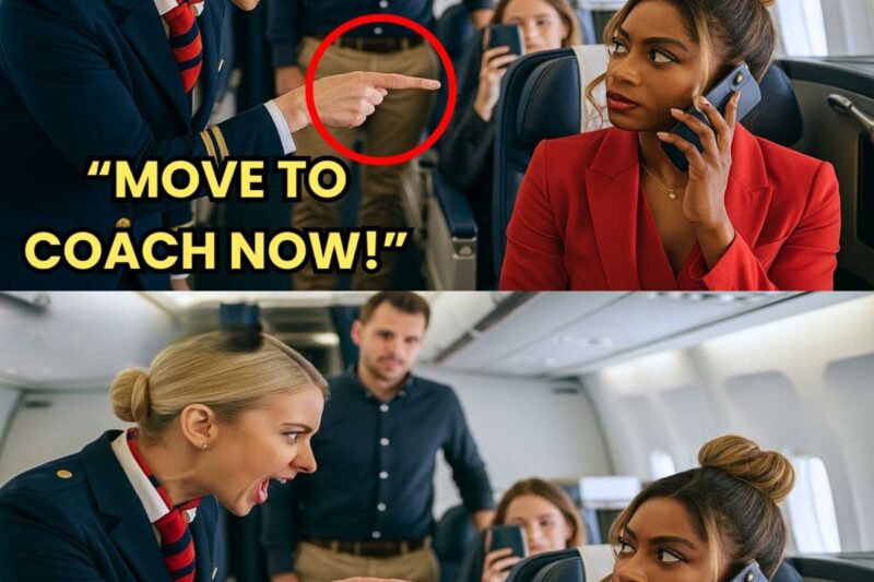 Black CEO Kicked Out of VIP Seat for White Passenger—Froze When She Fired Them All Immediately 