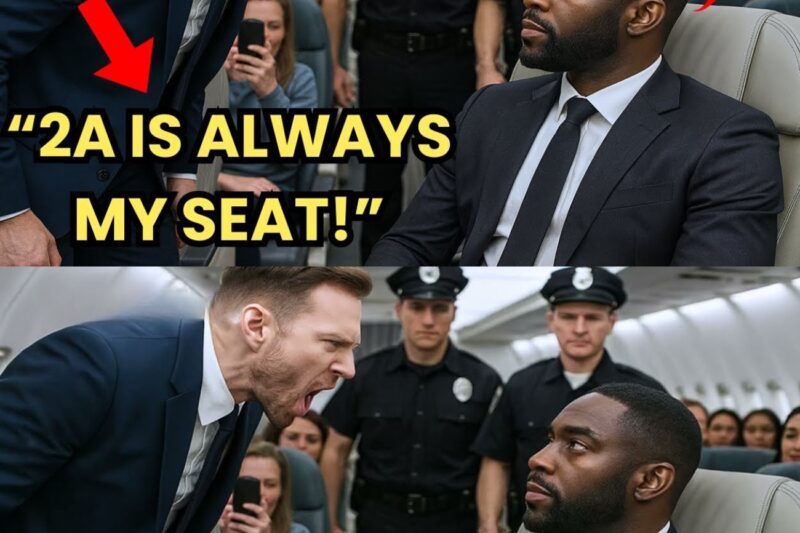 Black CEO Removed From VIP Seat for White Passenger — What He Did Next Cost the Airline $4.2B 