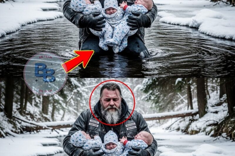 “I Saw the Stroller Tip Into the Ice!” A Hells Angel Witnessed a Tragedy and Dove In Without Hesitation.
