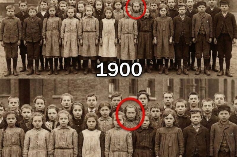 The Frightening Secret of the Orphans of 1900: Where Do These Orphans Come From?