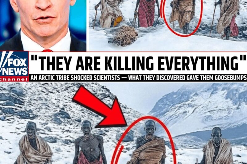 An Arctic Tribe Shocked Scientists — What They Discovered Gave Them Goosebumps