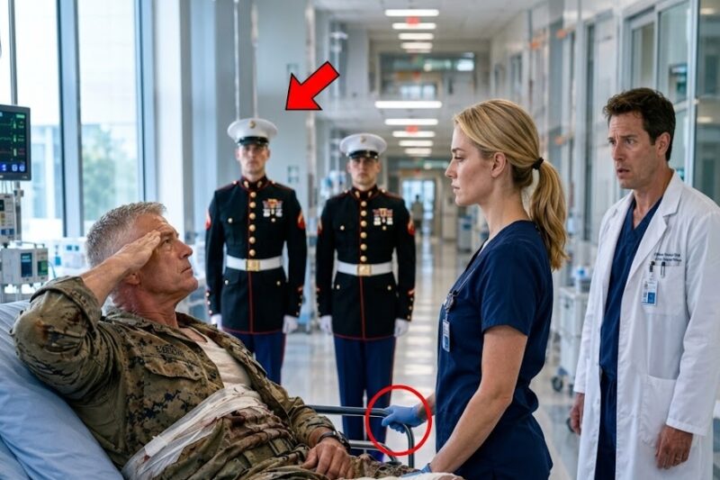 They Mocked the New Trauma Doctor… Then a Marine General Called Her “Legend”
