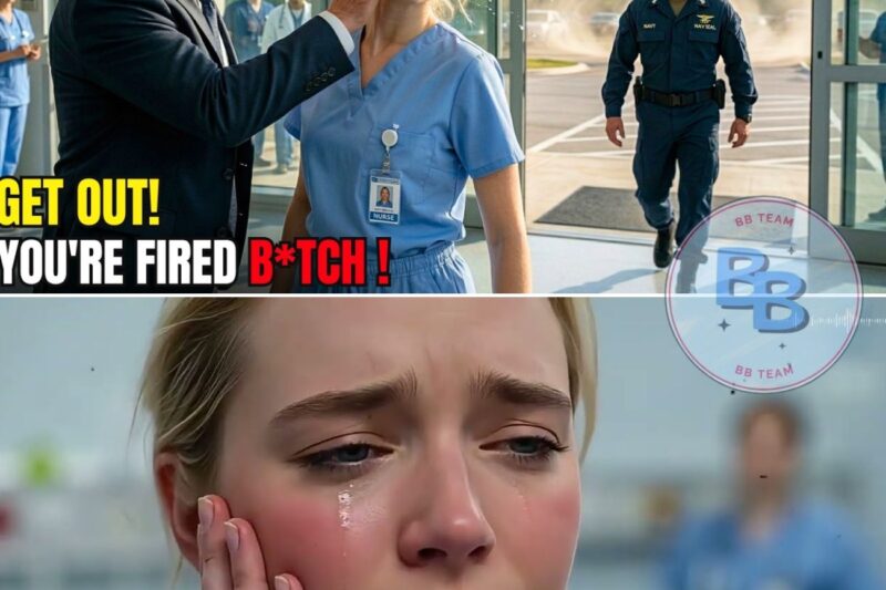 “Get Out, B*tch.” The CEO Slapped the Rookie Nurse — Then a Navy Helicopter Landed Outside