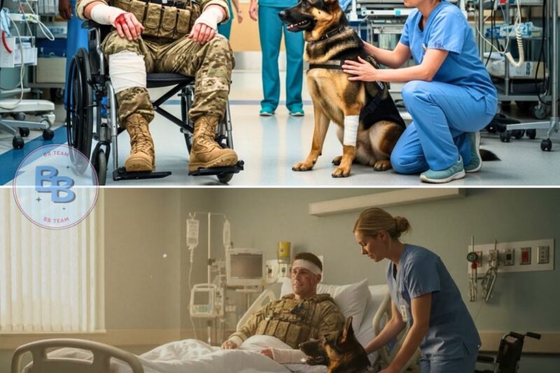 A Nurse Noticed the K9 Freeze Beside a SEAL Captain — Until They Found the Device in the Wall
