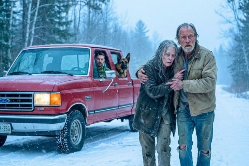 An Elderly Couple Was Left on a Snowy Backroad—Until a Navy SEAL Refused to Drive Past 