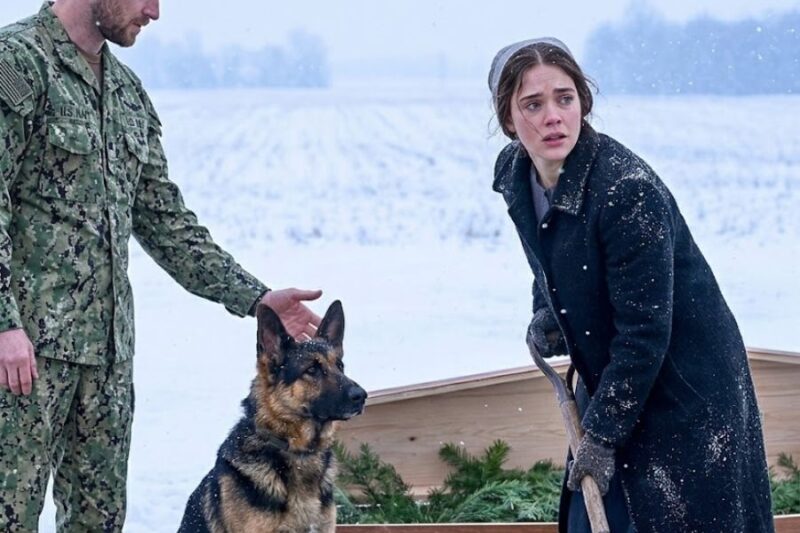 She Was Digging a Grave Alone in the Blizzard — A Navy SEAL and His K9 Stopped to Help 