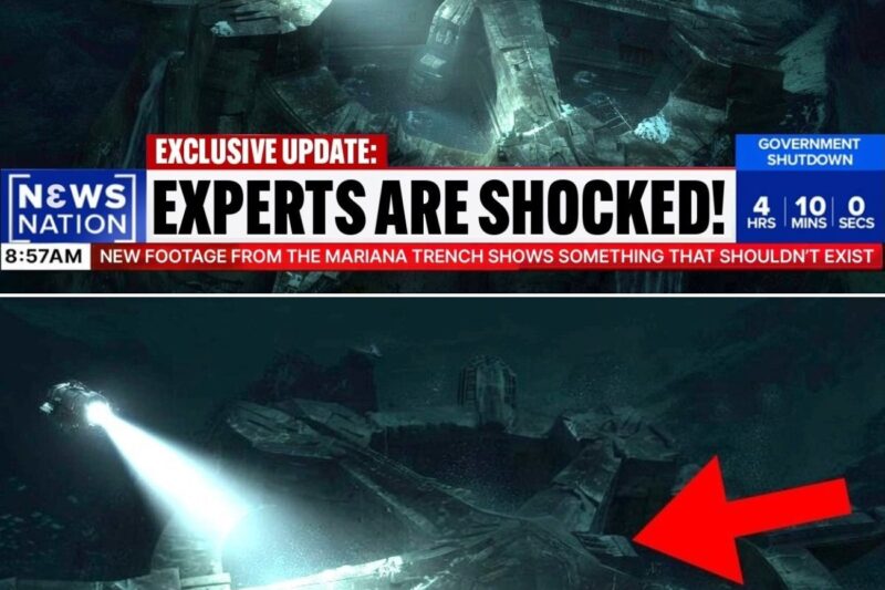 New Footage From the Mariana Trench Shows Something Impossible