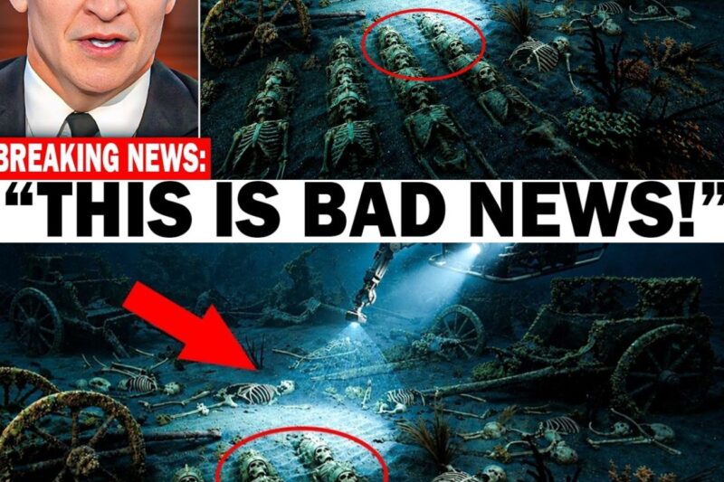 Divers Found Pharaoh’s Army Beneath the Red Sea — And It’s Haunting!