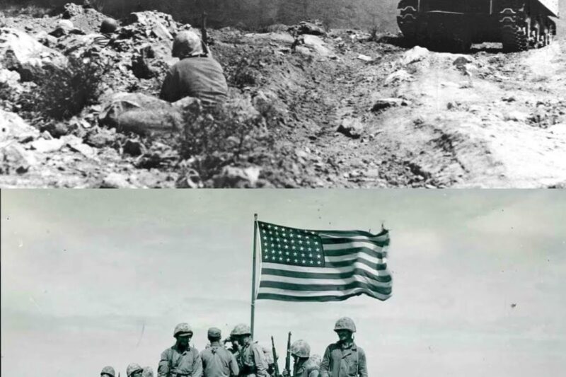 Japanese Were Shocked When 1 Marine With Flamethrower Destroyed 7 Bunkers On Iwo Jima In 4 Hours