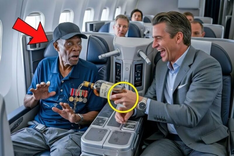 “Get Him Off This Plane!” Passenger Harasses Black Veteran—Shocked to Learn He Oversees FAA Air