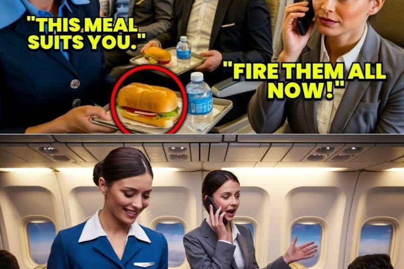 A Woman CEO Denied a First-Class Meal, Then Instantly Fires the Entire Flight Crew After Landing!