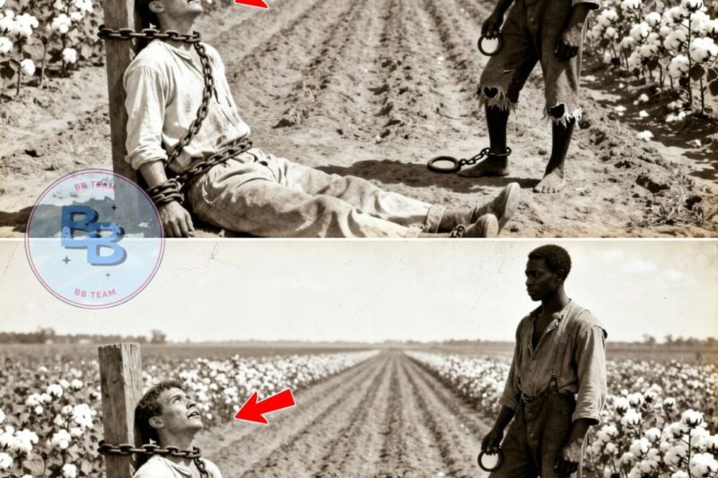 The Slave Who Chained His Master in the Fields
