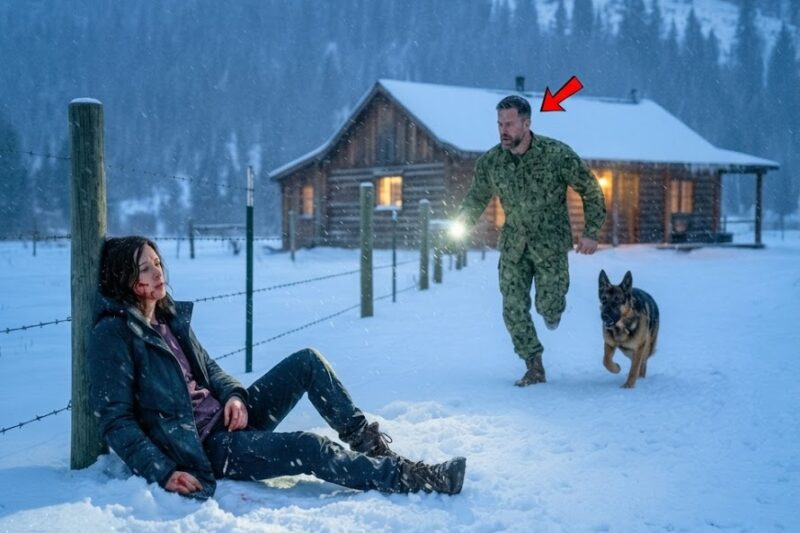 A Navy SEAL on Leave Thought the War Was Over—Until His Dog Found a Dying Woman in the Snow