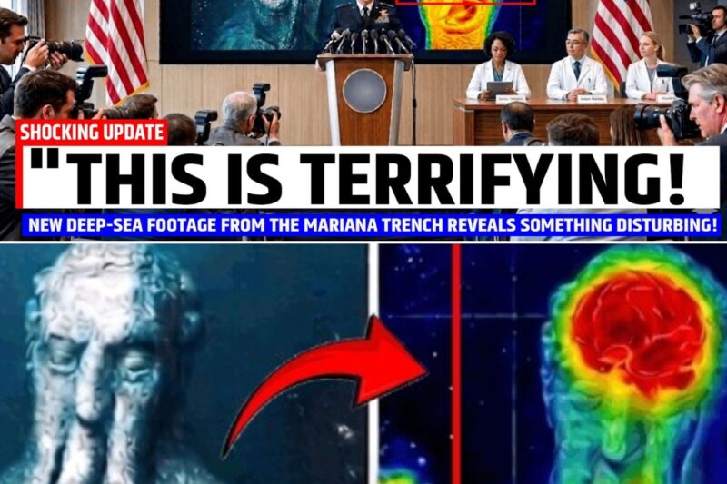 New Deep-Sea Footage From the Mariana Trench Reveals Something Disturbing!