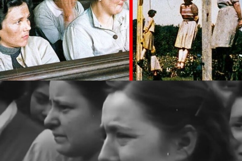 The Brutal Last Hours of Female Guards at Stutthof Concentration Camp *Warning REAL FOOTAGE