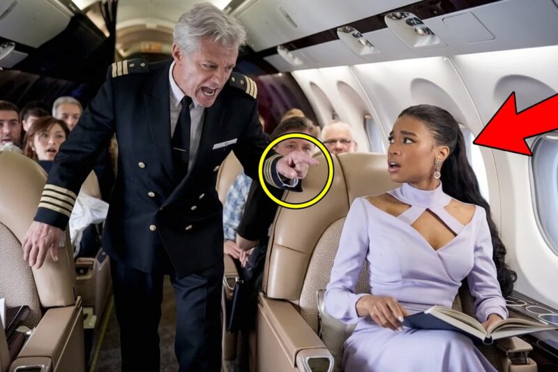 Pilot Asks Black Woman to Change Seats — Unaware She’s the Billionaire Who Owns the Plane