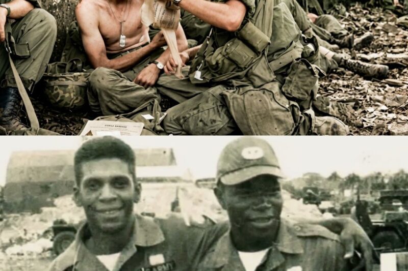 The NIGHTMARES of Combat Medics In Vietnam