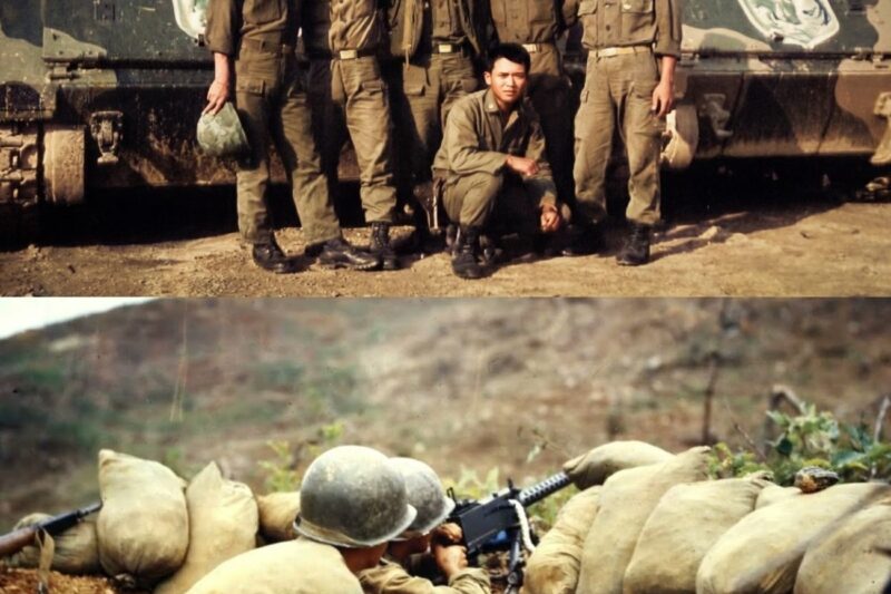  In 1965, The NVA Ambushed the “Tiger Division”. It Was A HUGE Mistake.