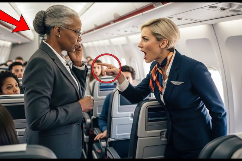 Flight Attendant Pushes a Black Federal Judge — Then She Makes One Call And the Plane is Grounded