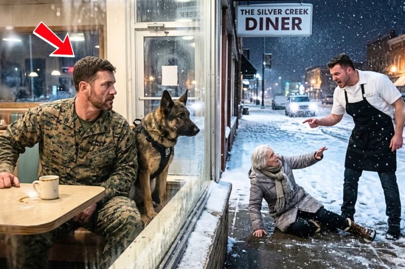 A Marine and His K9 Bought Soup for an 88-Year-Old Woman — She Gave Him a Family Again