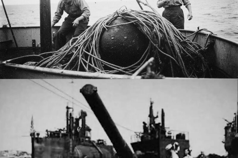 How One Australian Fisherman’s “Lucky Catch” Revealed Japan’s Secret Submarine Network