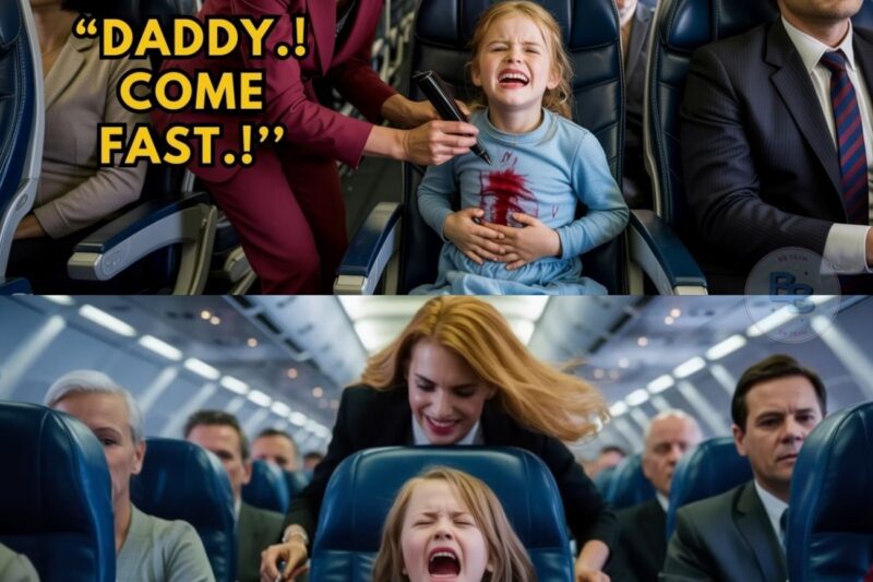 HOA Karen Stabbed My 7-Year-Old Daughter Mid-Flight – Unaware Her Father Is the Pilot