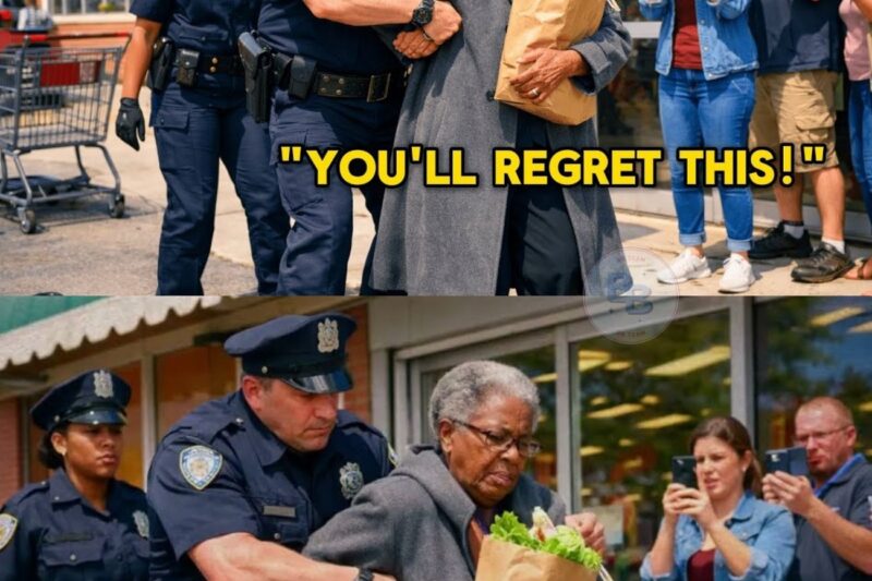Racist Cop Arrests Elderly Black Judge Over Groceries — Now the City Owes Her $1.5 MILLION 