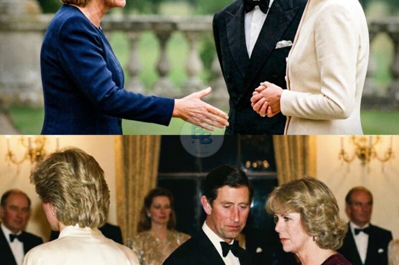 Princess Diana Ignored Camilla’s Hand in Front of Charles — No One Expected What Followed 