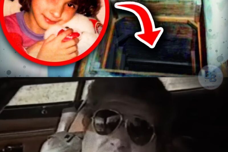 The Girl in The Wall – The Disturbing Case of Katie Beers