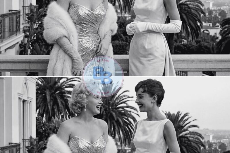 Marilyn Monroe Asked Audrey Hepburn “Do You Want CHILDREN?” — Later BOTH Were CRYING on Terrace