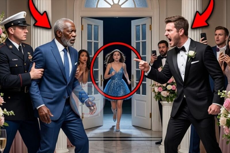 Groom Threw Bride’s Father Out for Looking Too Poor — Turned Pale When His CFO Walked In Behind Him