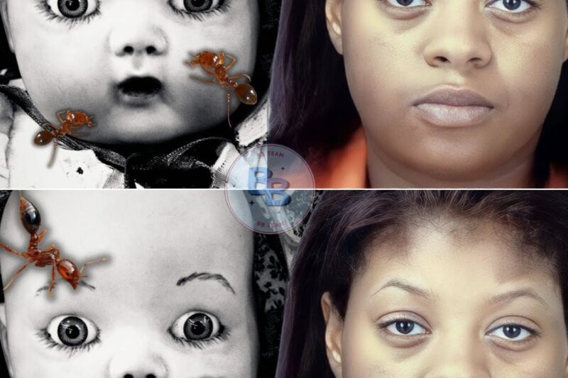 She Threw Her Baby Into a Swarm of Fire Ants