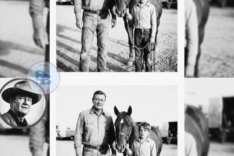 John Wayne Bought a Horse Nobody Wanted— Then He Gave It to a Boy Nobody Noticed