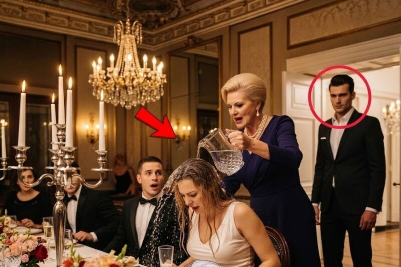 Mother in Law Poured Water on the Pregnant Wife for the Mistress — But Her Billionaire Brother Showe