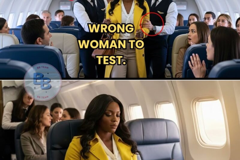 Security Pulled Black CEO Off Plane — Next, She Pulled $4B in Funding From the Airline!