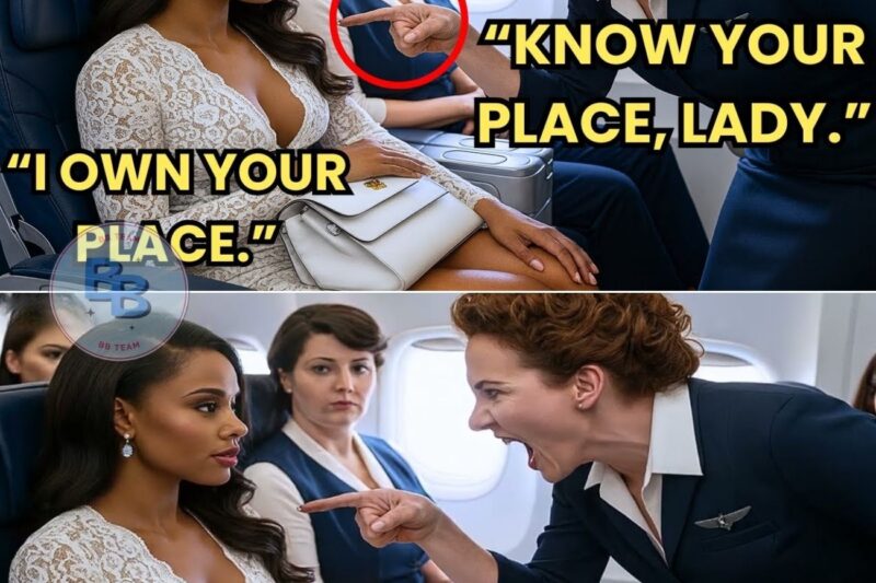 Flight Attendant Insulted Black Passenger – Then, She Was Airline Owner, Whole Crew Got Fired Instantly