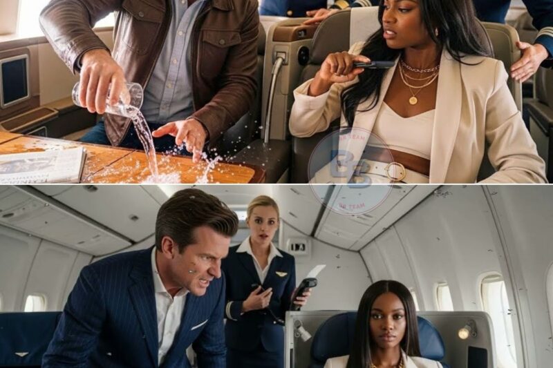 Black Woman CEO’s Seat Snatched by White Passenger — THEN, Seconds Later, the Jet Stops on the Runway