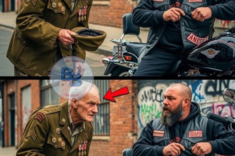Starving 84-Year-Old Vet Asked Hells Angels: “Can You Spare a Dollar?” — Next This