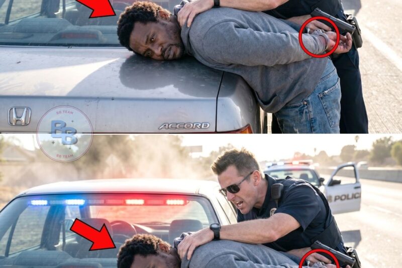 Racist Cop Arrests Undercover Black FBI Agent — Courtroom Karma Ends His Career Instantly