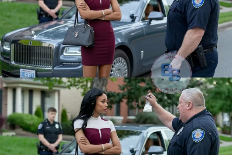 Cop Tries to Set Up a Woman — NEXT, Learns She’s His New Captain