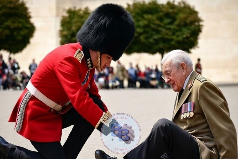 Royal Guards Break Character in the most Heartfelt Moments