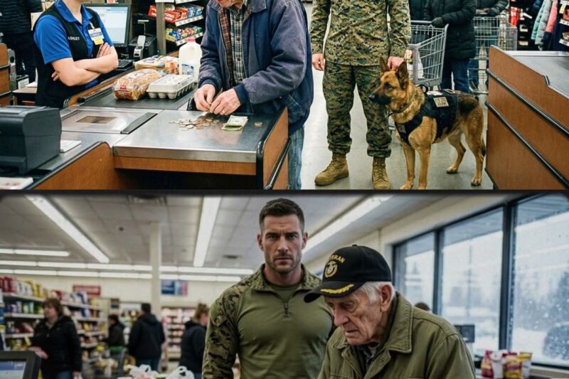 U.S. Marine Saw Veteran Short $3.86 for BREAD — What His K9 Did Next STUNNED Entire Store 