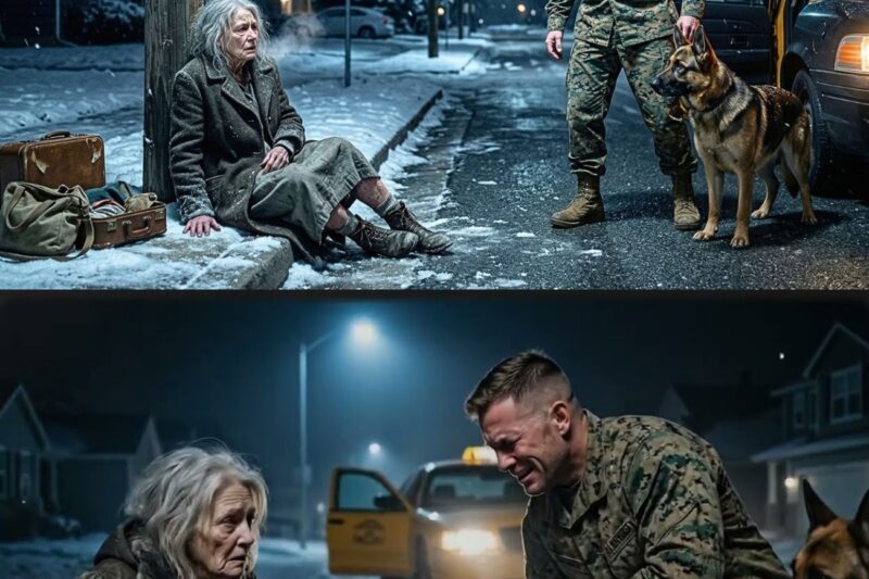 U.S. Marine Returns Home With His K9 and Finds His Mother Abandoned — The Truth Shocks Him 