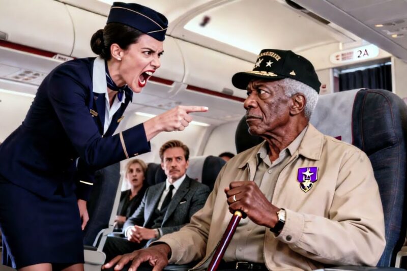 Flight Attendant Forced a Black Veteran Off the Plane — Captain Fires Her on the Spot