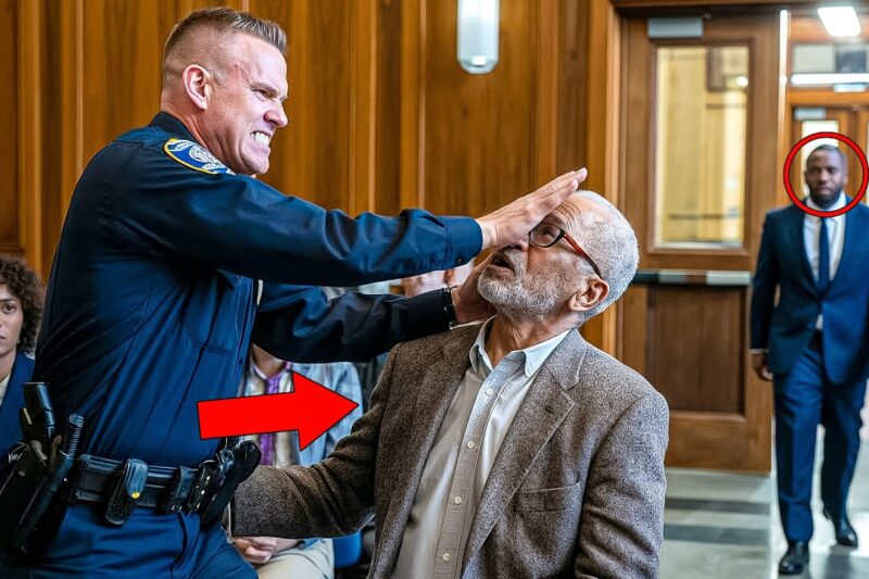 Racist Cop Slaps Old Black Man Then His FBI Son Walks Into the Courtroom