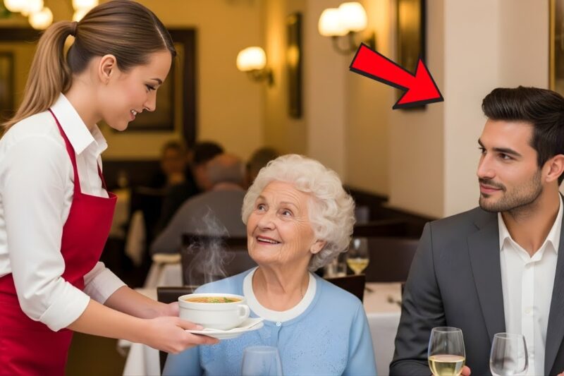 One waitress fed an elderly woman daily—until her CEO son arrived with 20 SUVs.